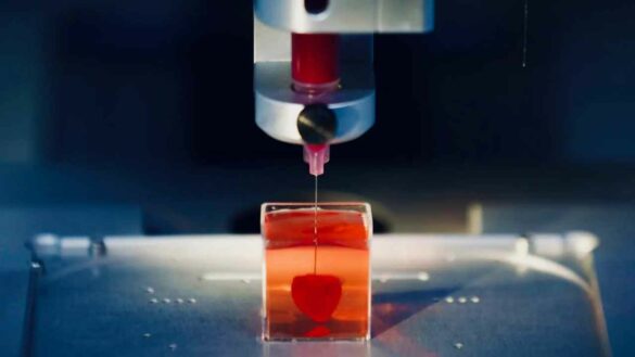3D Printed Heart